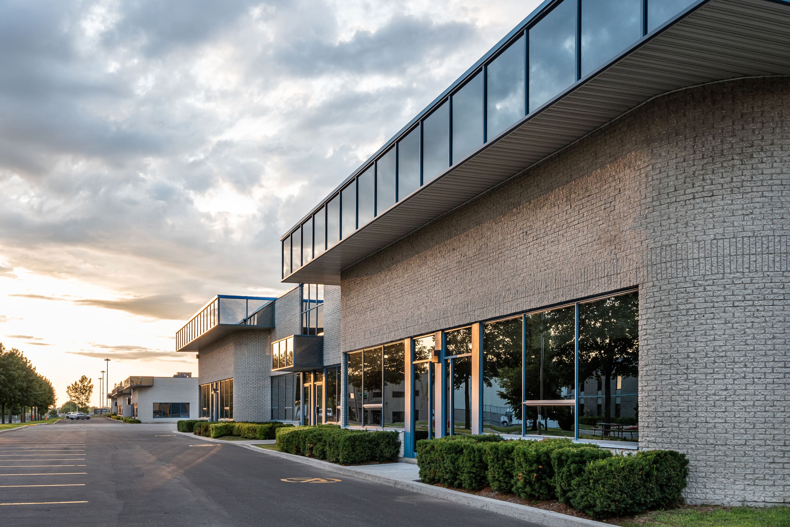 Commercial office window film