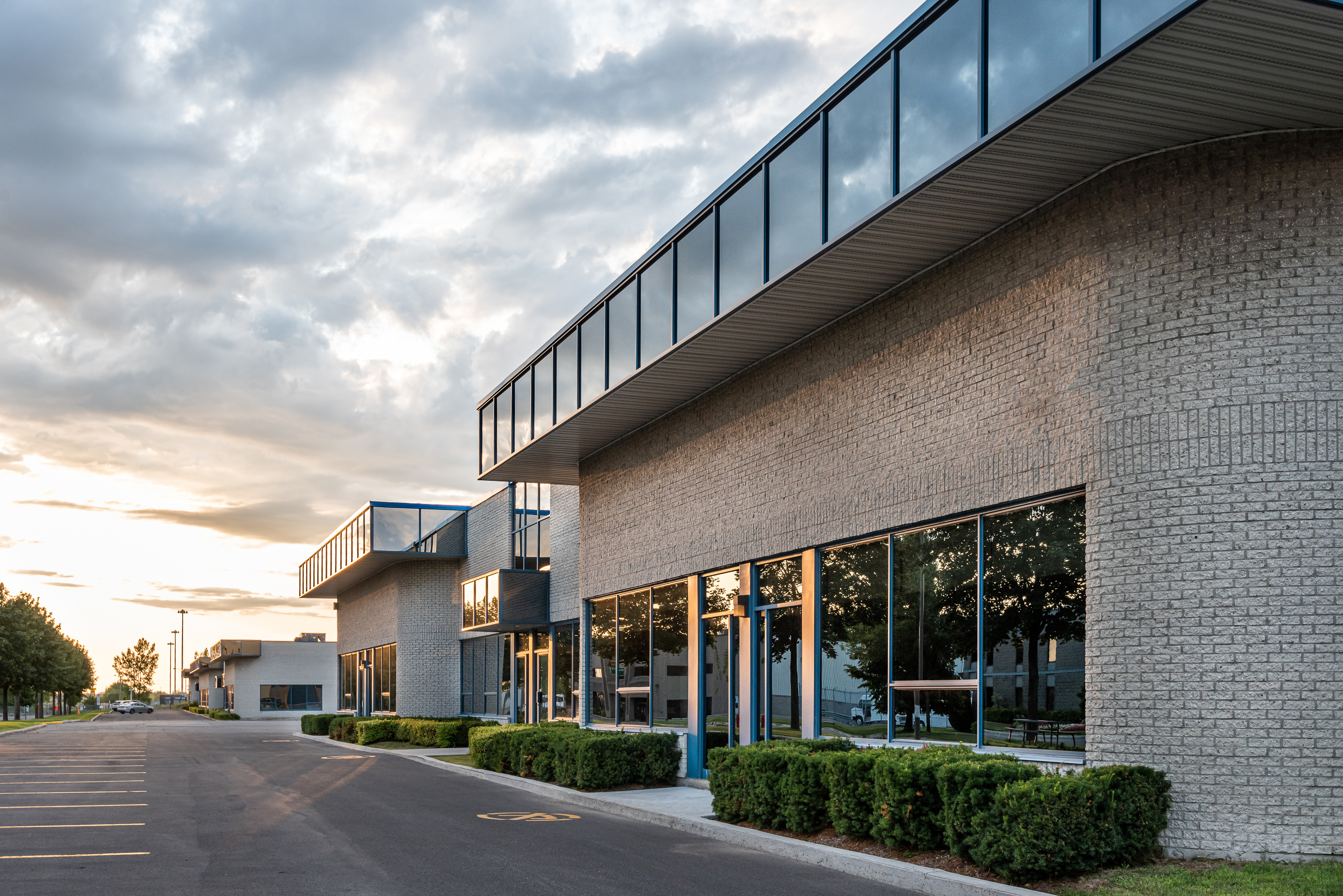 Commercial office window film